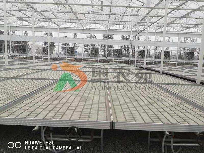 安徽現代綜合農業示范園區荷蘭新型智能溫室項目